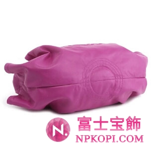 ロエベ　ショルダーバッグ　ナッパ　アイレ　ＮＡＰＰＡ　ＡＩＲＥ LOEWE 309 82 102-7170